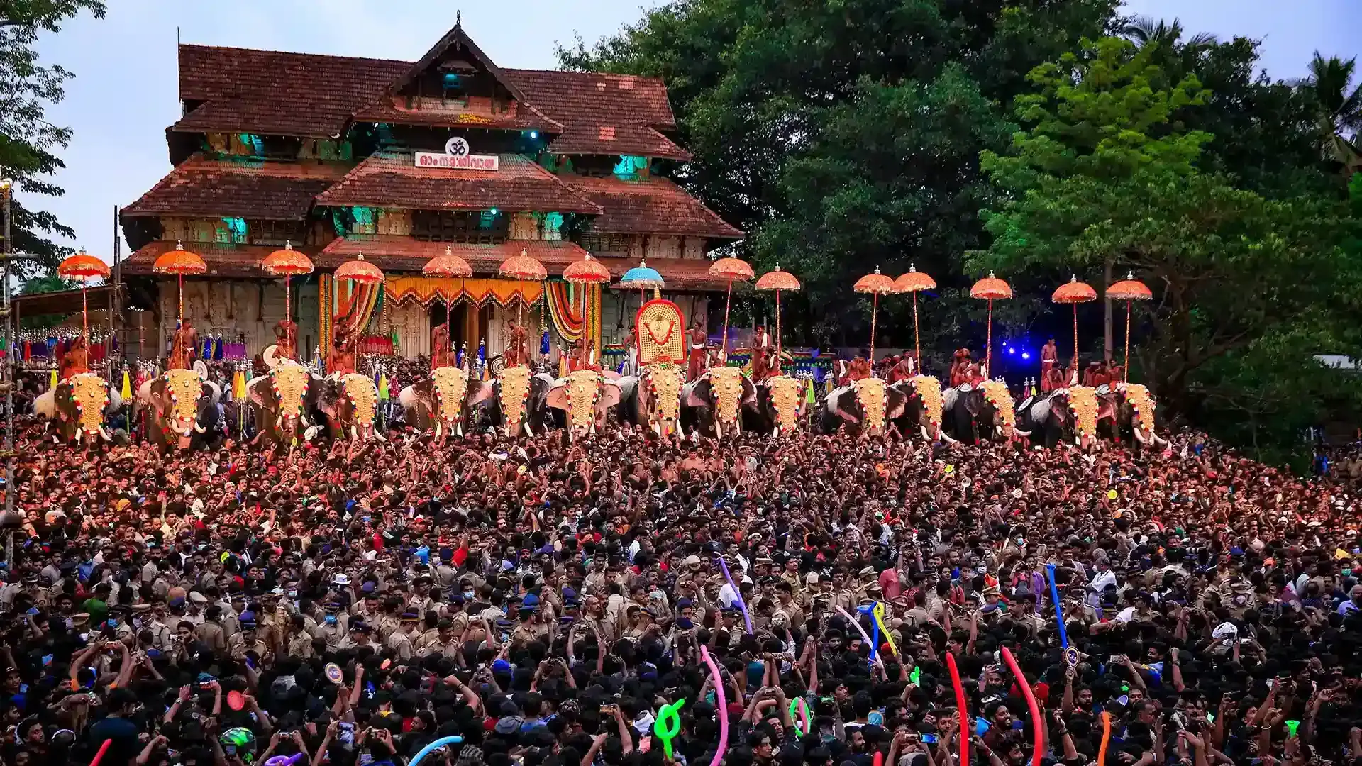 Caparisoned elephants aligned during a traditional Kerala Pooram festival