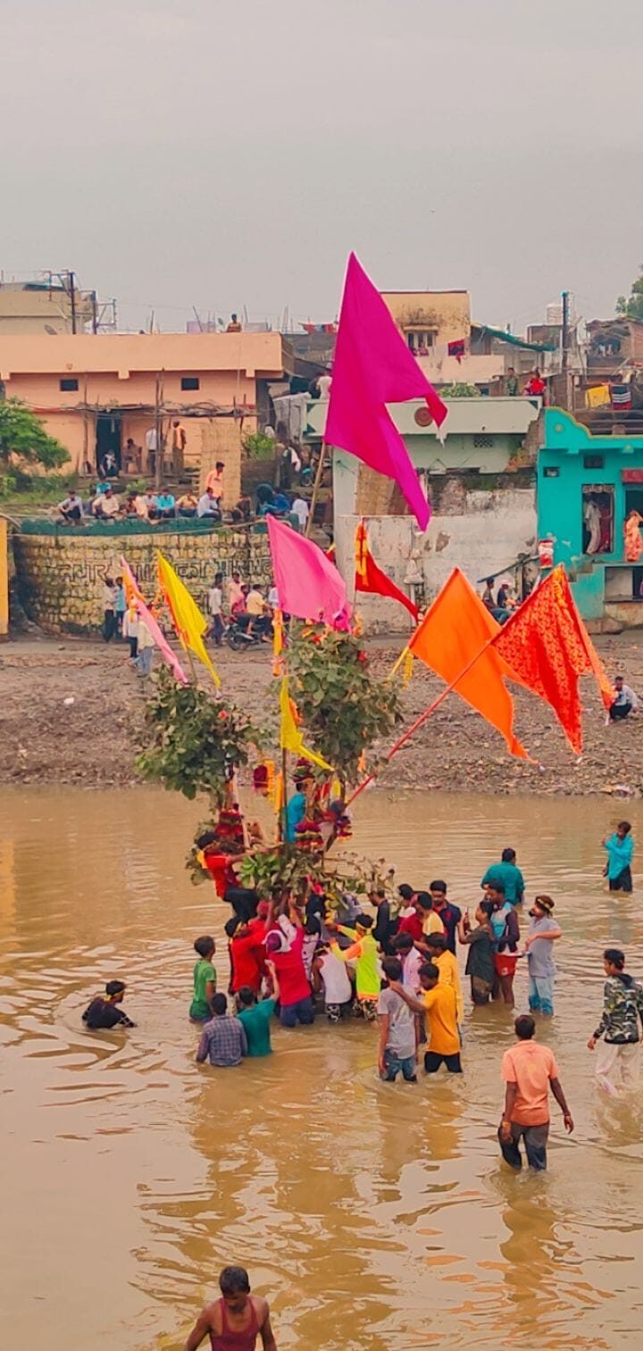 A palash tree fixed upright in the Jam river bed with flags tied at its top during the Gotmar festival at Pandhurna